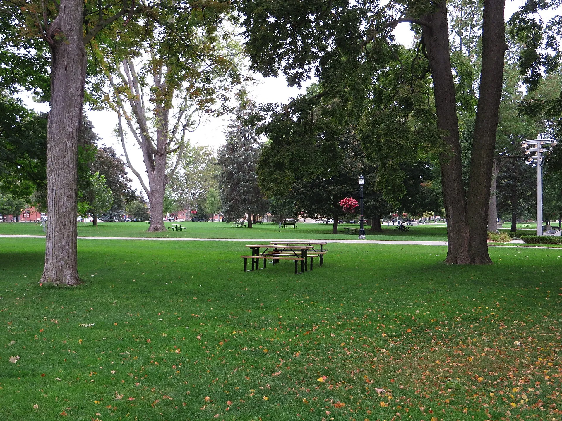 Mature trees and open lawn in Victoria Park